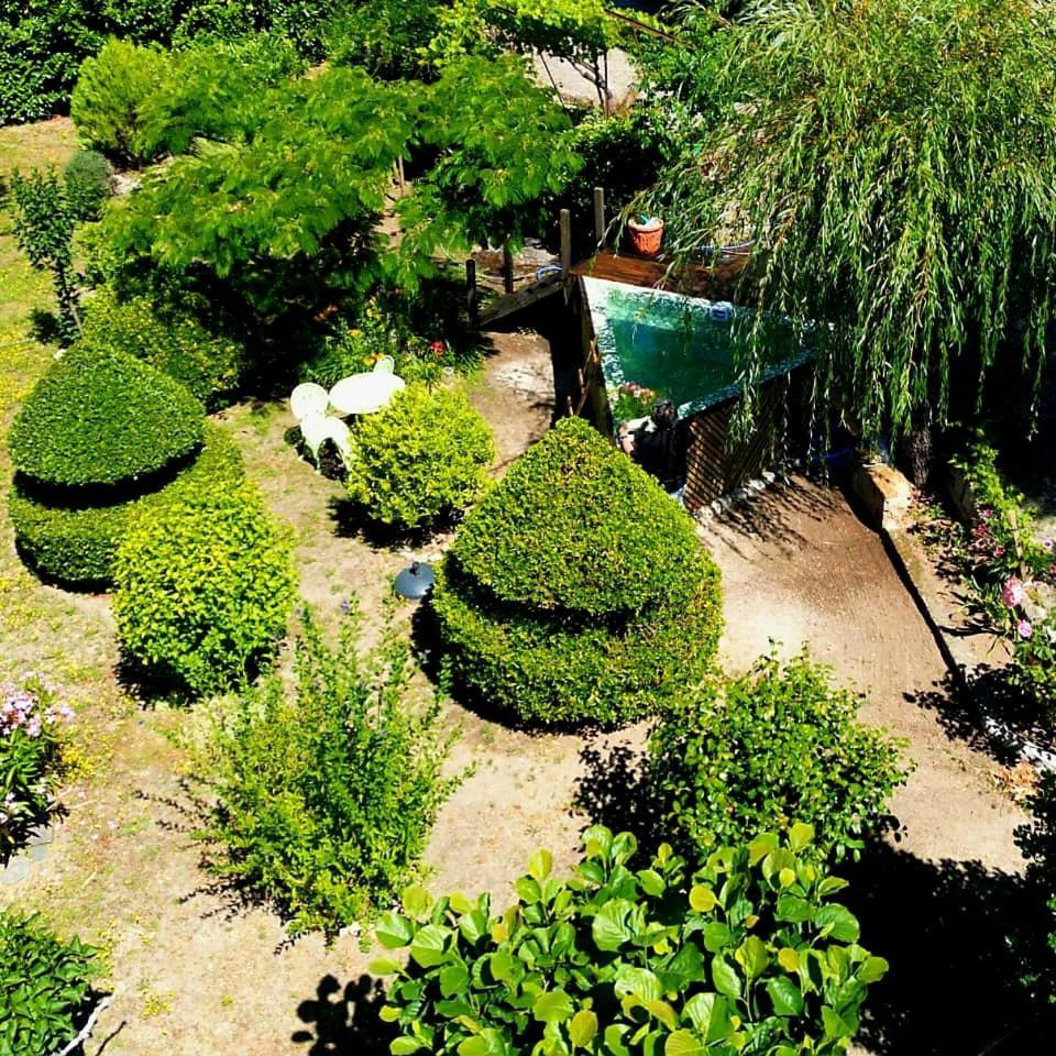 Гостьовий будинок Casa Do Fundo - Sustainable & Ecotourism Сейя Екстер'єр фото